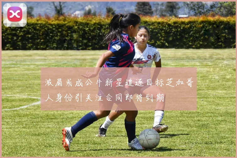 浓眉或成公牛新星追逐目标芝加哥人身份引关注合同即将到期