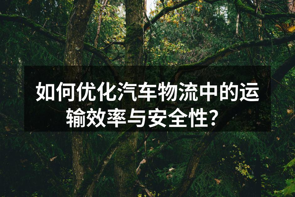 汽车物流运输中的大型货车